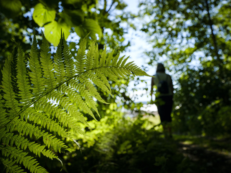 H&aring;llbarhet i f&ouml;rsamlingen